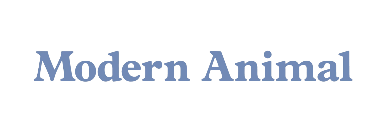 Modern Animal Logo